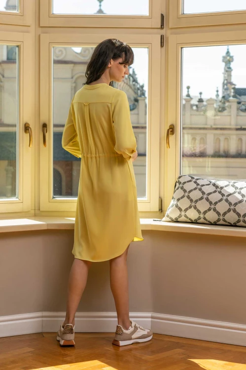 Żółta szmizjerka (2).jpg